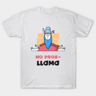 No probllama T-Shirt